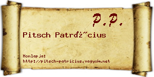 Pitsch Patrícius névjegykártya